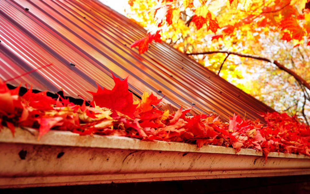Protect Your Foundation with Maple Washing: The Essential Role of Professional Gutter Cleaning