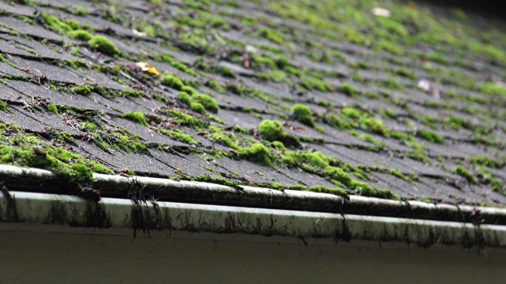 Roof-demossing preserves longevity and integrity of your roof