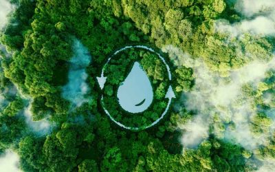 Why We Choose Ocean Safe Chemicals and Why You Should Too