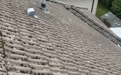 Roof De-Mossing 101: What It Is, Why It Matters, and When to Schedule It