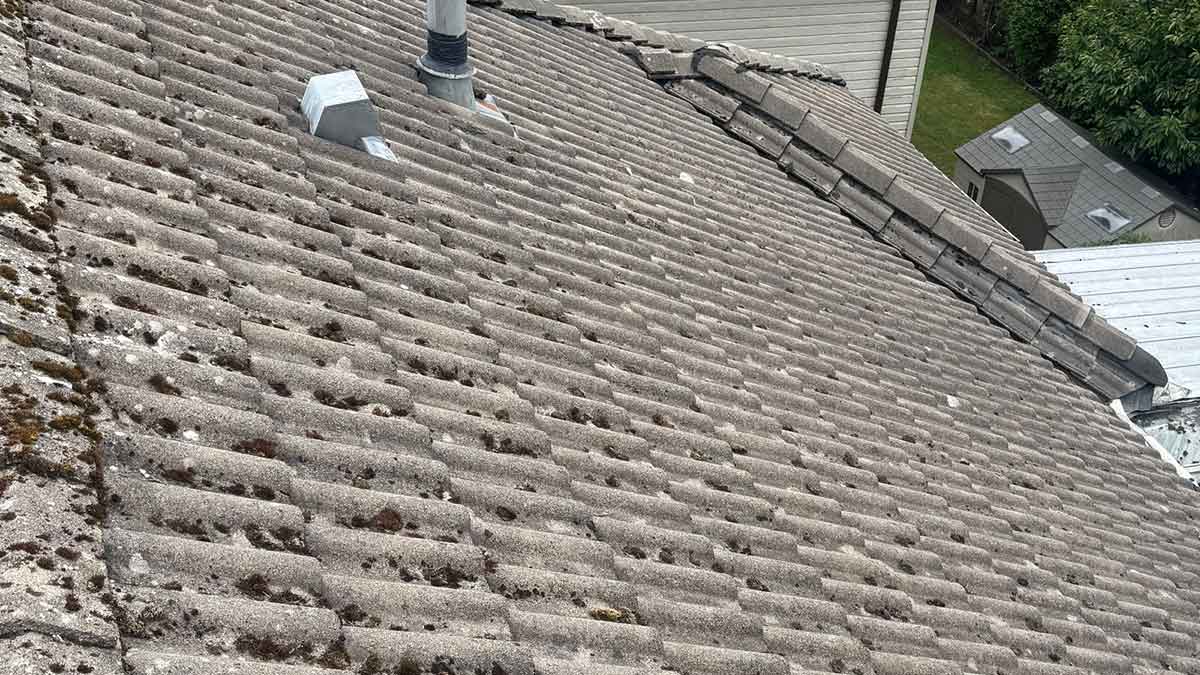 Roof shingles with moss build up.