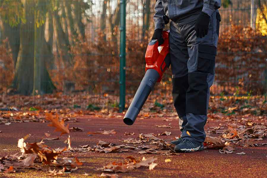 Maple Ridge Leaf Cleanup
