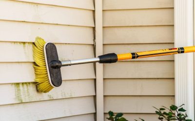 The Environmental Benefits of Brush Washing