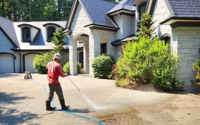 How to Prepare Your Home for a Professional Pressure Wash