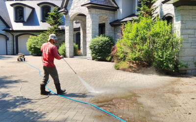 Maple Washing Through the Years: From Kitchen Table to Maple Ridge Staple
