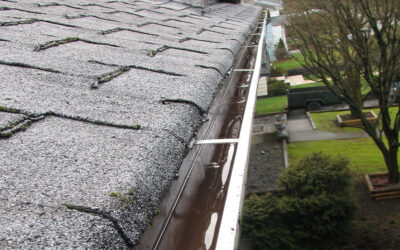 Clogged Gutters = Expensive Repairs: Here’s How to Prevent It