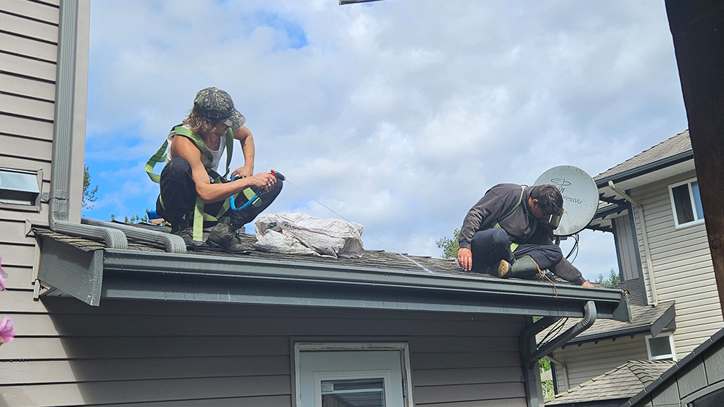 What-Roof-De-Mossing-Actually-Involves Roof de-mossing in progress removing moss buildup to improve roof drainage and longevity