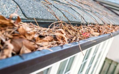 Clogged Gutters = Expensive Repairs: Here’s How to Prevent It