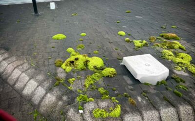 How Roof De-Mossing Improves Drainage and Longevity