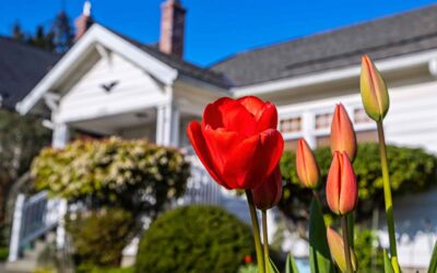 5 Signs You Need a Professional Home Exterior Cleaning This Spring