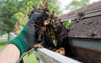 Professional Gutter Cleaning: What should I look for?