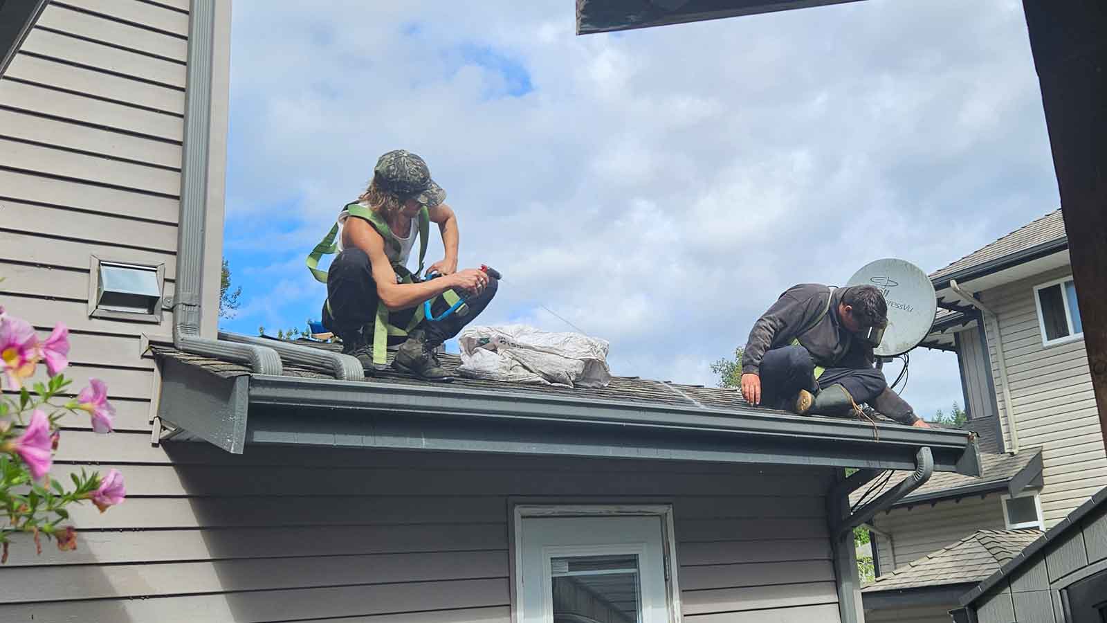 Hire a Gutter Cleaning Professional Two Gutter Cleaning Professionals on a roof cleaning out a gutter in Maple Ridge.