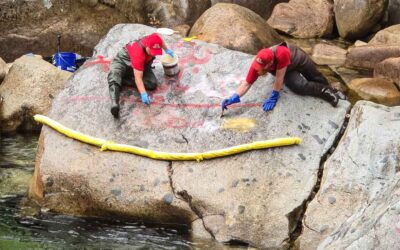 Golden Ears Graffiti Removal: Maple Washing Works With BC Parks